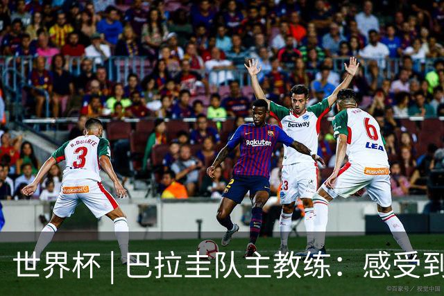 世界杯 | 巴拉圭队主教练：感受到比赛的极致压力