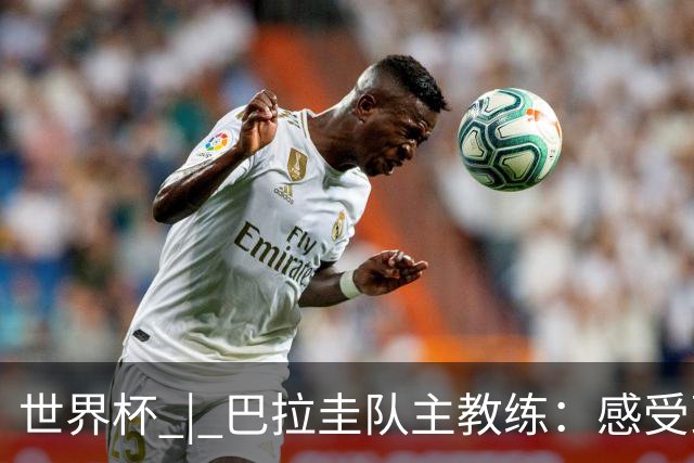 世界杯 | 巴拉圭队主教练：感受到比赛的极致压力