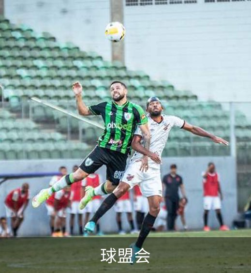 球盟会品牌故事